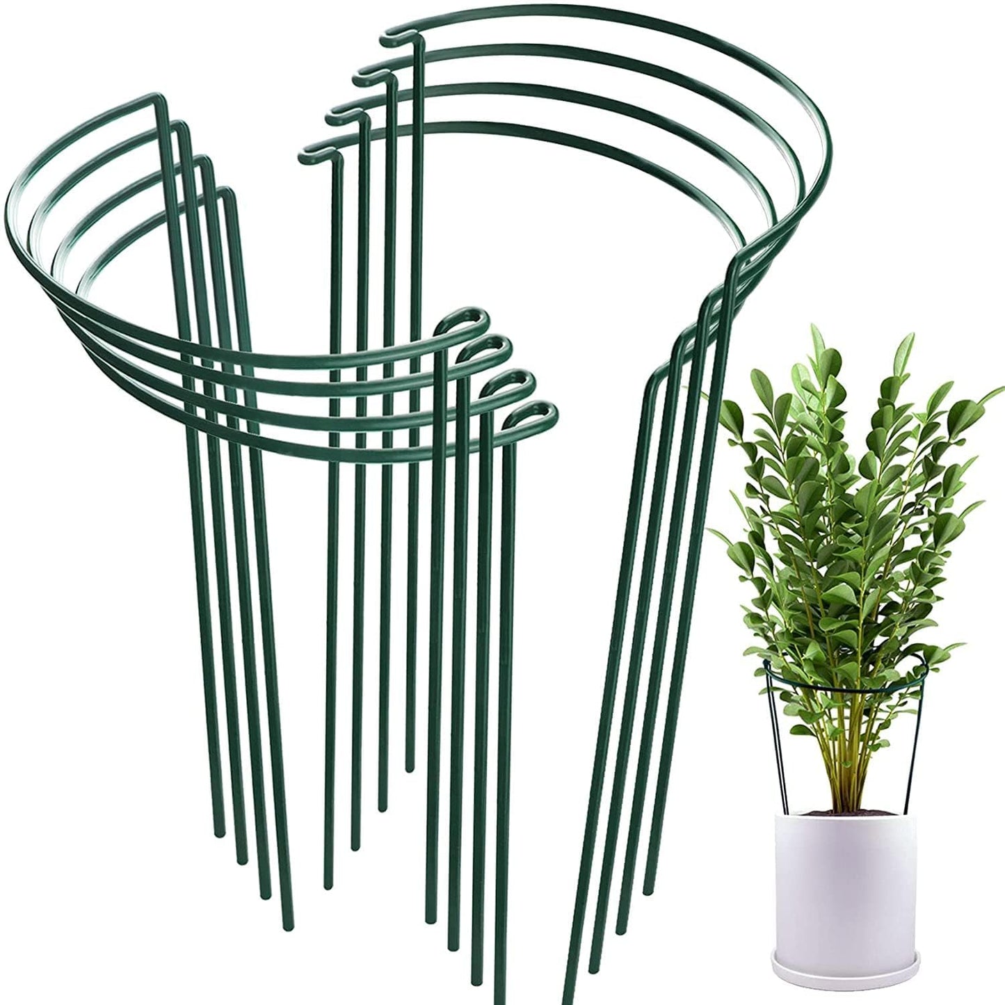 TOYPOPOR 8 Pack 25×40cm Plant Support Stakes, Metal Garden Plant Stakes, Half Round Plant Support Ring Cage for Peonies Monstera Hydrangeas Roses Sedum Vegetables Tomatoes 16''/40cm-8pcs