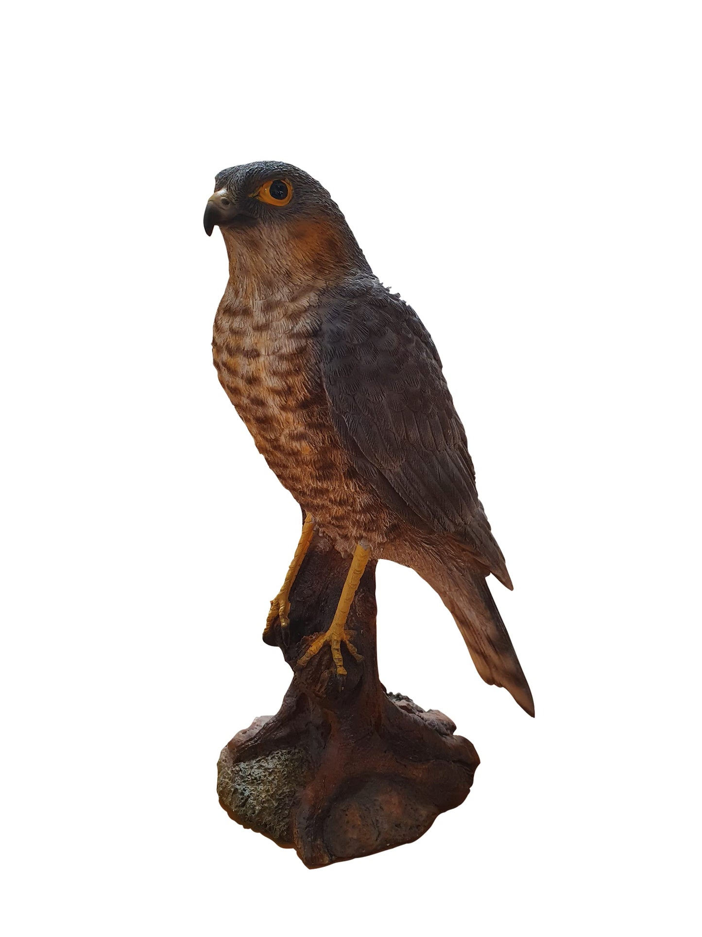 Vivid Arts Sparrow Hawk Resin Home or Garden Ornament (XRL-SHAW-D)