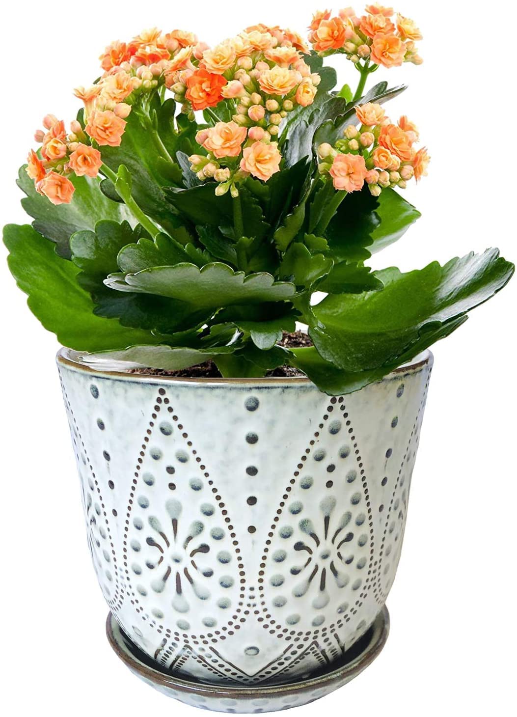 YFFSRJDJ 15CM Flower Pots-Set of 2. Beaded Ceramic Planter with Drainage Hole and Saucer for Plants, Indoor-Outdoor Large Round Succulent Plant Garden Pot (White) Set of 2 - 15CM Cream White