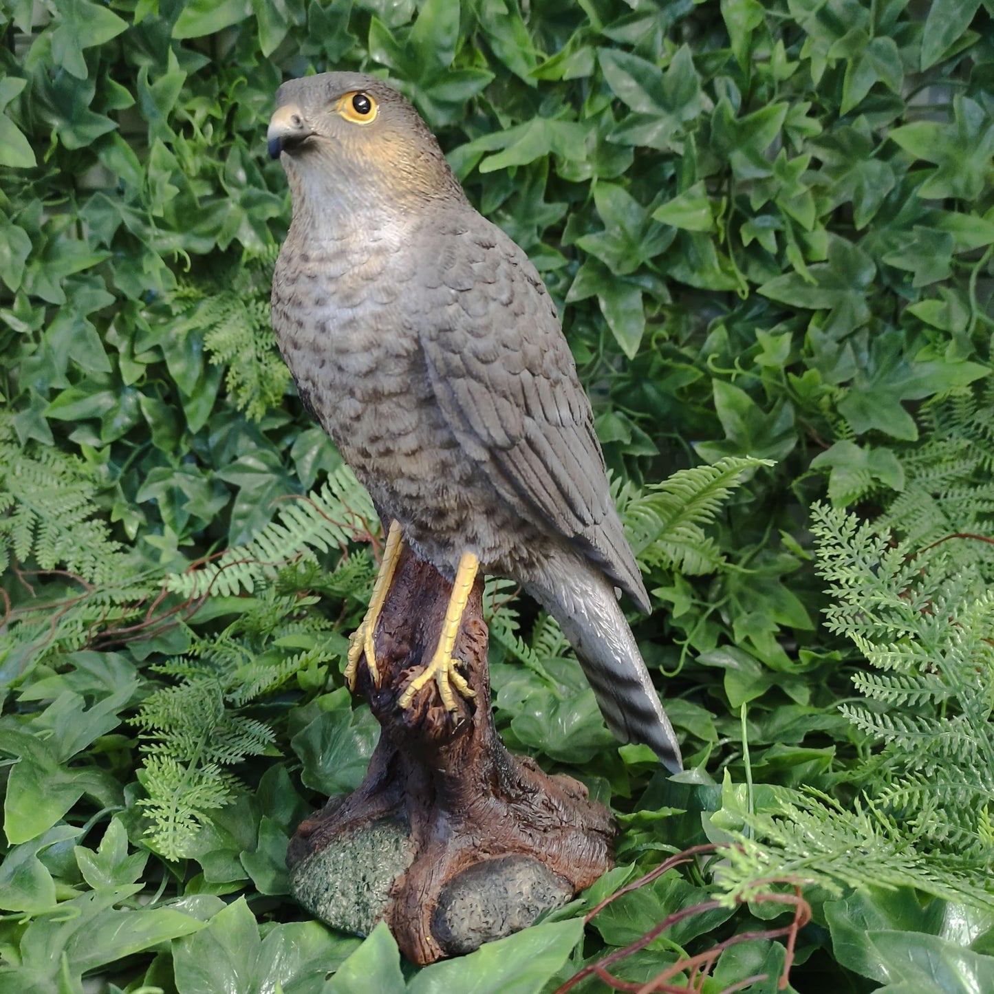 Vivid Arts Sparrow Hawk Resin Home or Garden Ornament (XRL-SHAW-D)